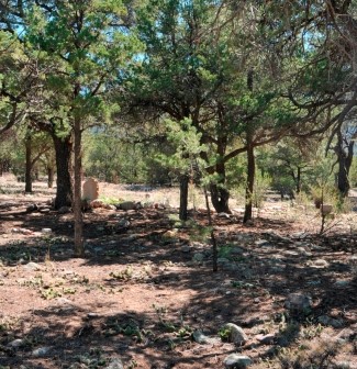 Crestone Cemetery 